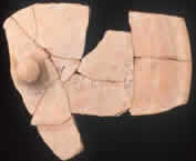 athlawechinos athlawechinos